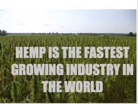 Hemp vs. Marijuana (Seed and Cultivation)