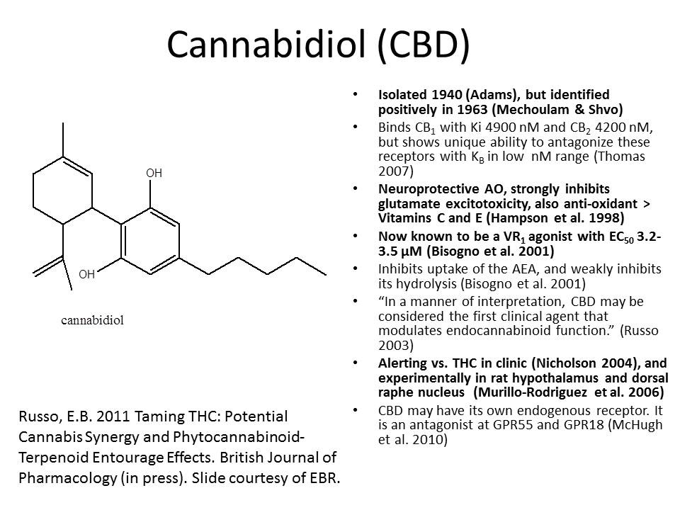 CBD-summary