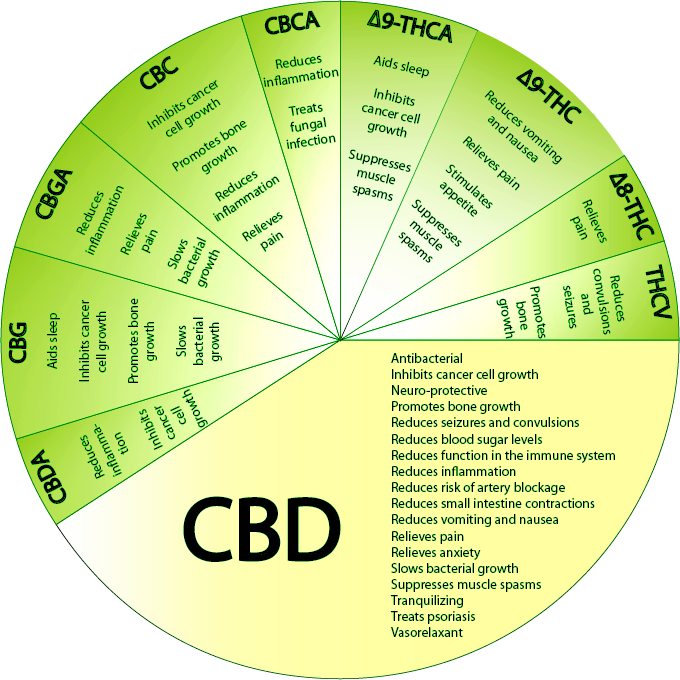 CBD_Wheel_of_health