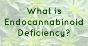 Endocannabinoid-Deficiency