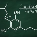Article: WHAT ARE CANNABINOIDS?
