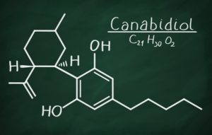 Article: WHAT ARE CANNABINOIDS?