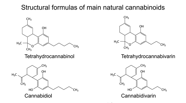 cannabinoids-101-3b