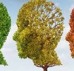 Article: Cannabinoid Medicine and Alzheimer’s Disease Treatment