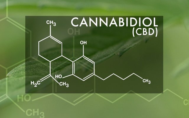 How Does CBD Work?