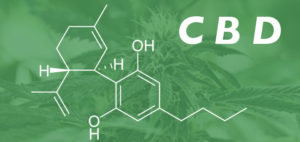 Cannabidiol (CBD) from Industrial Hemp vs. CBD from Medical Marijuana
