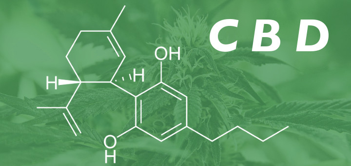 Cannabidiol (CBD) from Industrial Hemp vs. CBD from Medical Marijuana