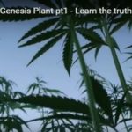 Hemp, the Genesis Plant .. a Video With Some History