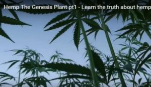 Hemp, the Genesis Plant .. a Video With Some History