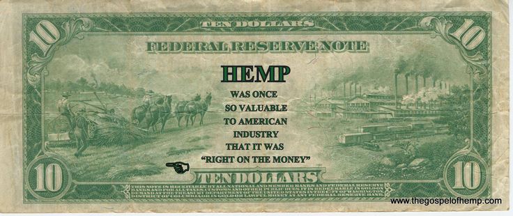 hemp-on-money-biz-kannaway