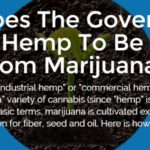 Why Does The Government Consider Hemp To Be Different From Marijuana?