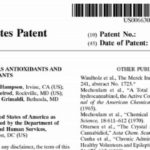 The US Government Acknowledges the Healing Power of CBD – They Even Have a Patent on CBD