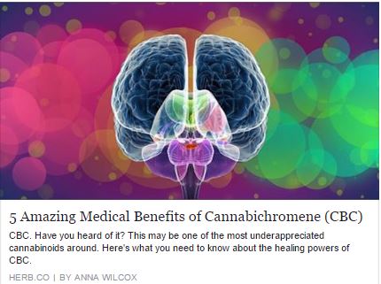 It’s not all about CBD!  Find About the Five Amazing Medical Benefits of Cannabichromene (CBC)