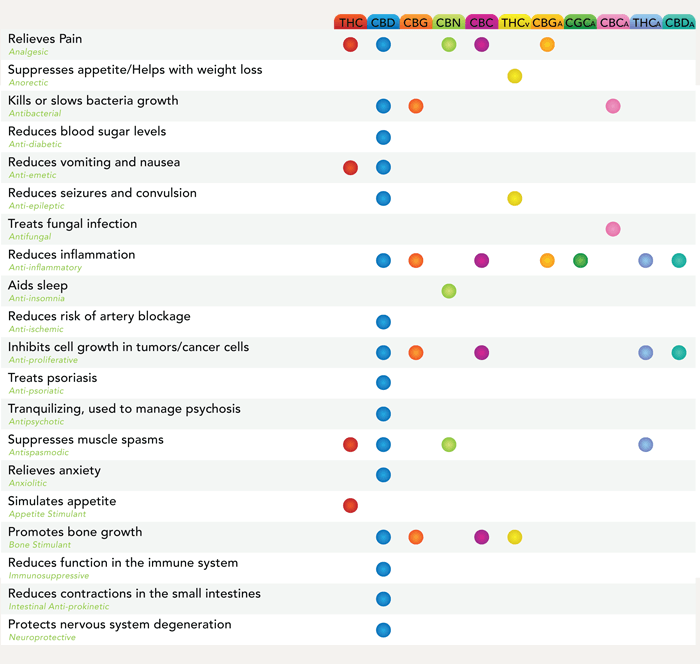 cannabinoid-oil-health-effects